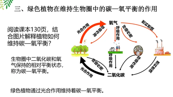 3.5.2 绿色植物的呼吸作用-2023-2024学年七年级生物上册优质课件（人教版）(共18张PP
