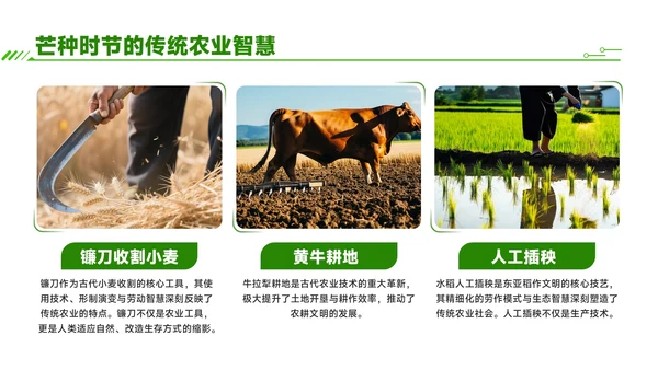绿色商务风芒种时节农业新技术应用与推广