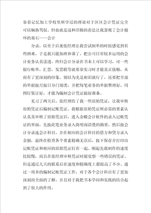 2023年件技术服务公司财务实习报告