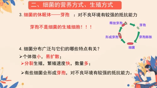 2.3.2细菌课件2024-2025学年人教版生物七年级上册(共18张PPT)