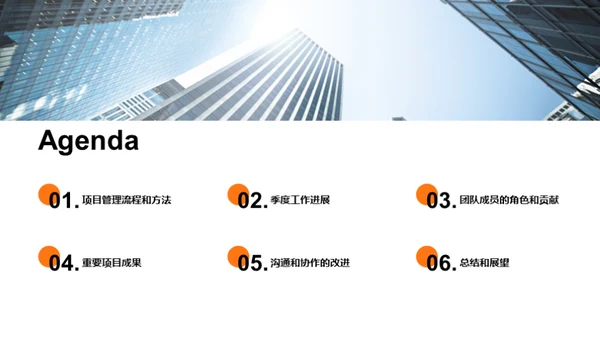 农副产业项目成就展望