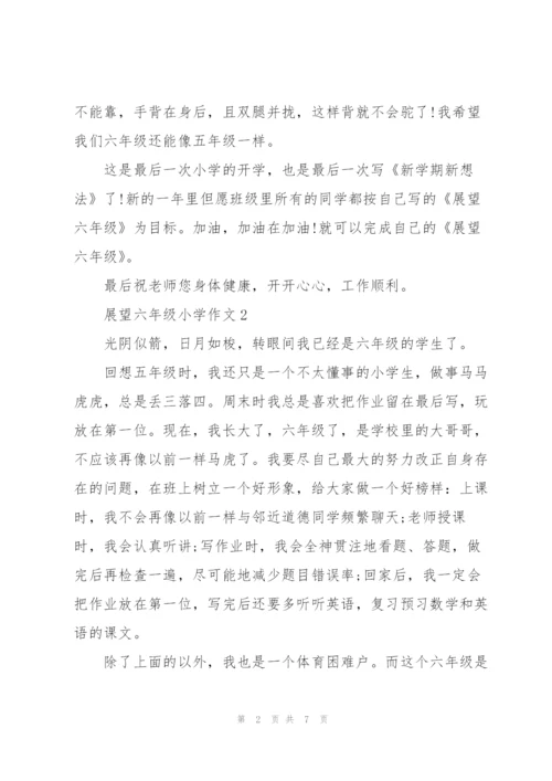 展望六年级小学作文5篇.docx