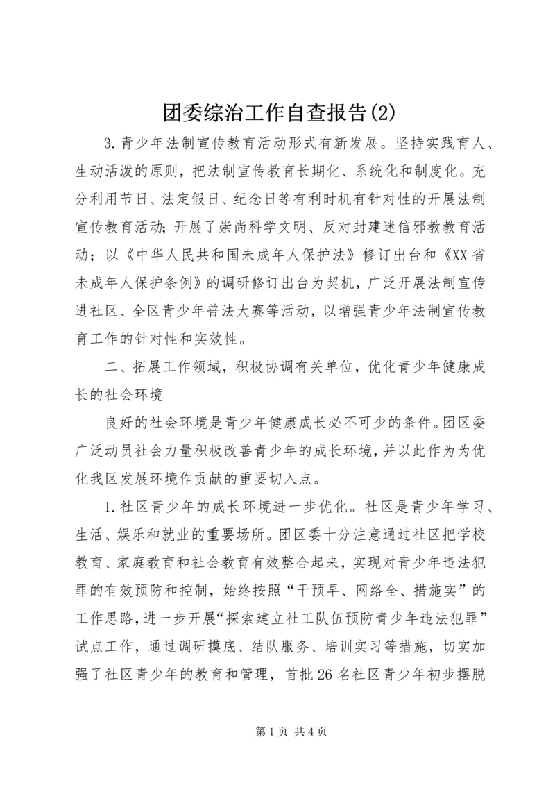 团委综治工作自查报告(2).docx