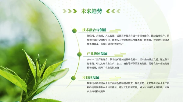 绿色农业乡村项目汇报PPT模板