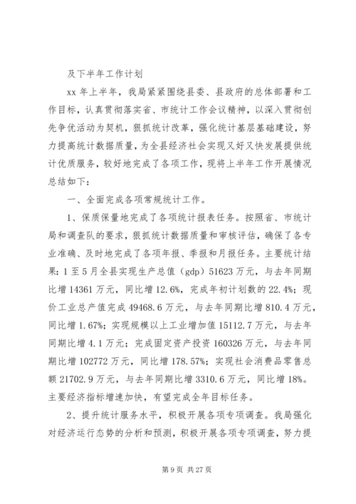 市统计局上半年工作总结及下半年工作计划(精选多篇).docx