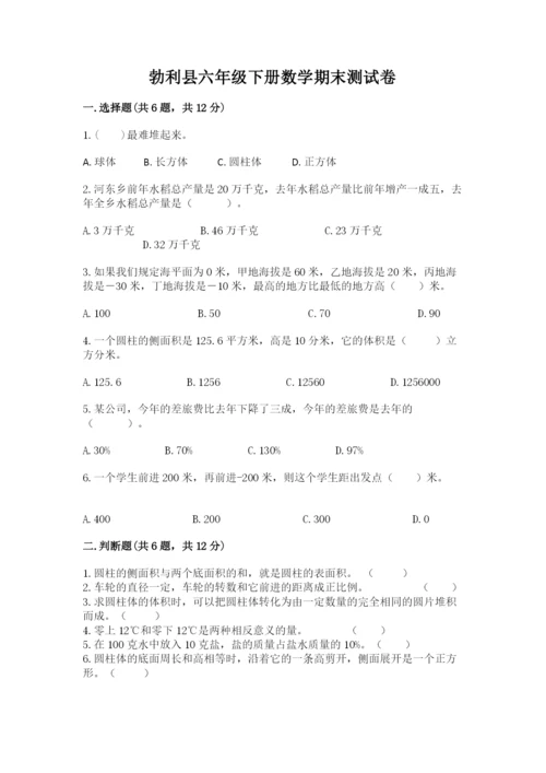 勃利县六年级下册数学期末测试卷（预热题）.docx