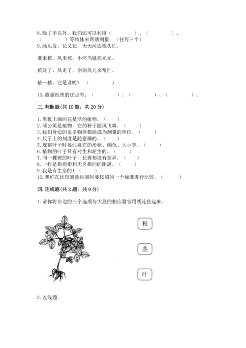 教科版一年级上册科学期末测试卷及答案（新）.docx