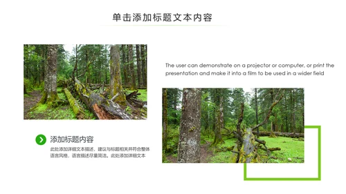 绿色环保森林湿地环境保护生态森林业PPT模板
