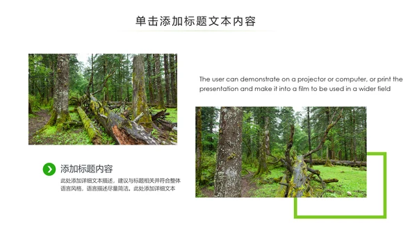 绿色环保森林湿地环境保护生态森林业PPT模板