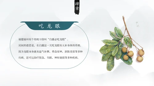 白露白鹤通用PPT模板