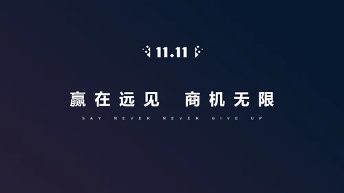 电商网购方案营销策划PPT模板