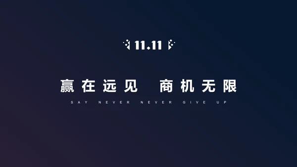 电商网购方案营销策划PPT模板