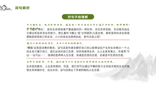 爱护生命保护环境林PPT教学课件
