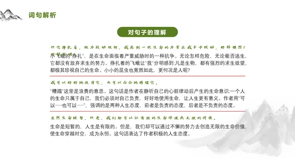 爱护生命保护环境林PPT教学课件