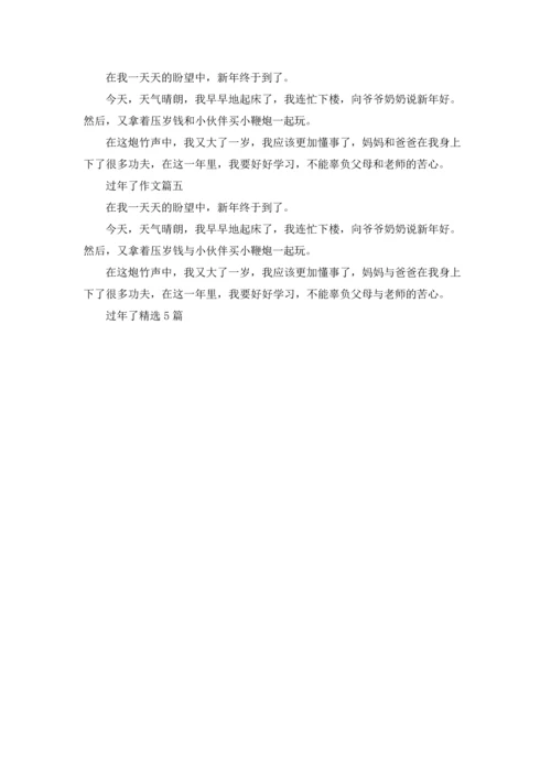 过年了精选5篇.docx