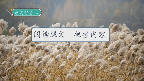 【核心素养】部编版语文四年级下册-21.芦花鞋（课件）
