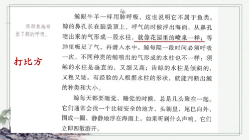 部编版五年级上册语文习作例文 课件