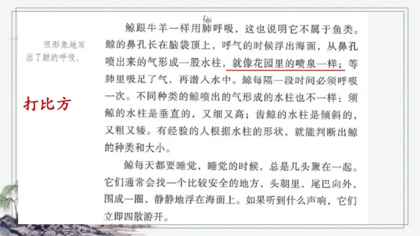 部编版五年级上册语文习作例文 课件