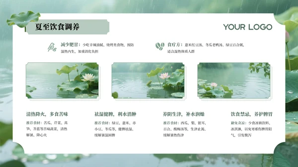 绿色夏至节气介绍通用PPT模板