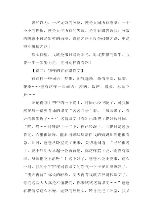 别样的青春路作文.docx