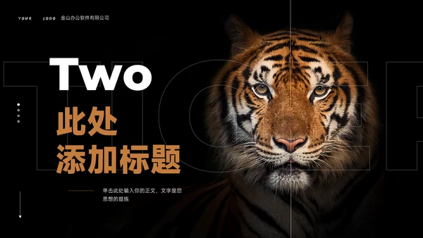 Tiger老虎通用PPT演示模板