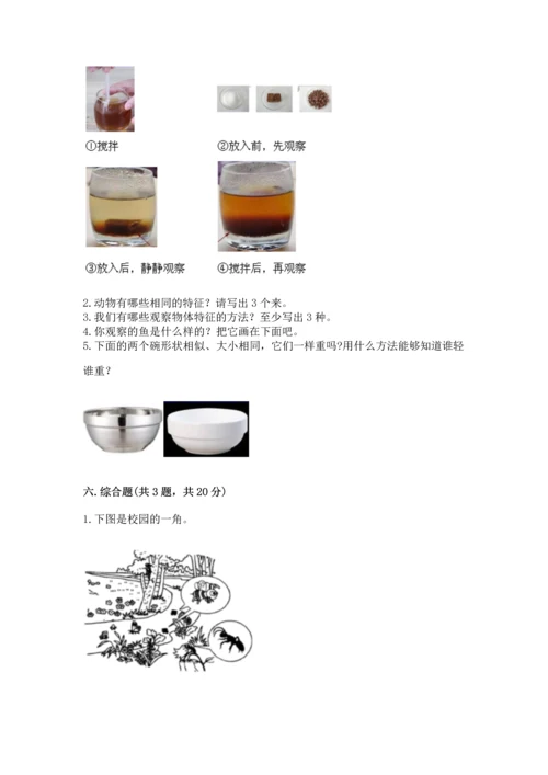 教科版一年级下册科学期末测试卷（达标题）.docx