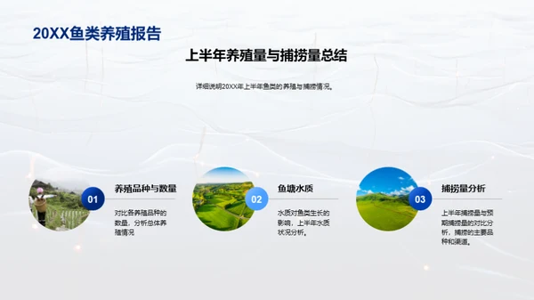 优化鱼塘经营策略