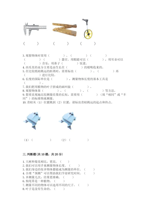 教科版一年级上册科学期末测试卷【突破训练】.docx