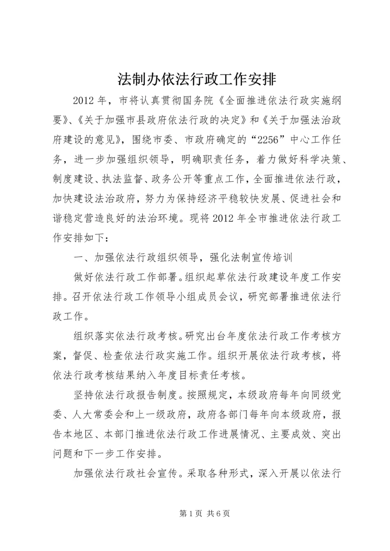 法制办依法行政工作安排.docx