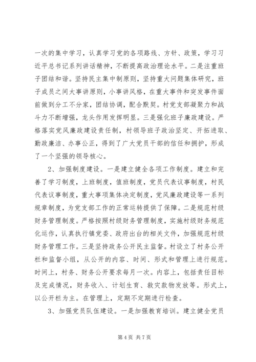 某村XX年巩固提升计划.docx