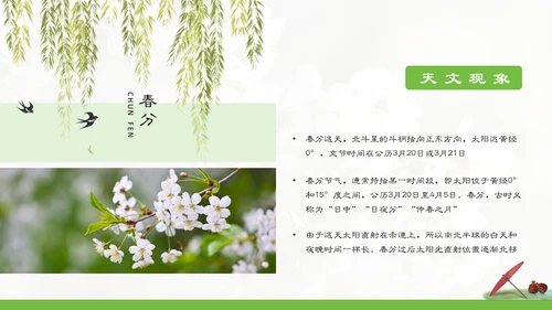 春分春天的白花通用PPT模板
