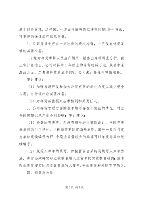 企业内部控制审计报告(3)_1.docx