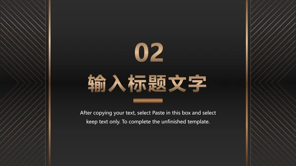 黑金商务项目总结PPT模板