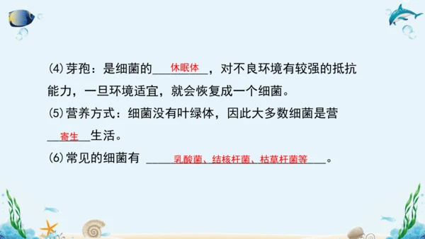 人教版八年级生物上册5.4《细菌和真菌》复习课件（含31张ppt）