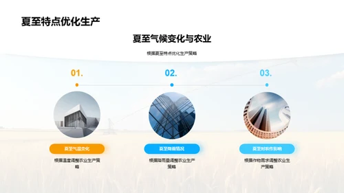 夏至气候与农业策略