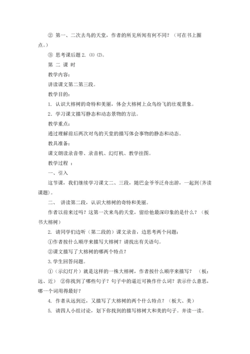 有关鸟的天堂教案三篇.docx