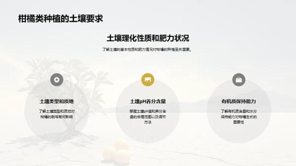 柑橘栽培的科技革新