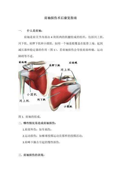 肩袖损伤术后康复指南.docx