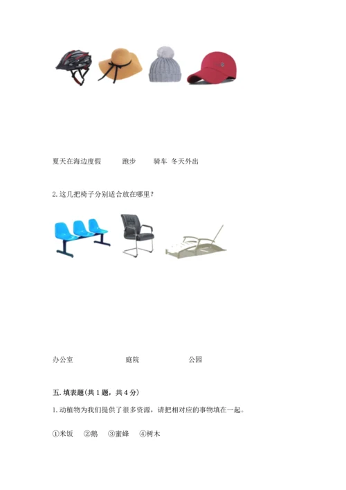 教科版科学二年级上册《期末测试卷》精品【典优】.docx