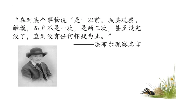 11 蟋蟀的住宅（课件）
