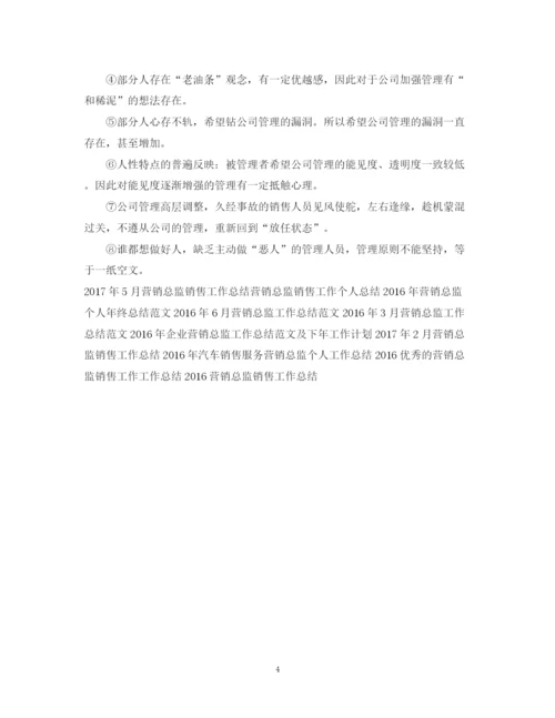 精编之营销总监工作总结范文2.docx