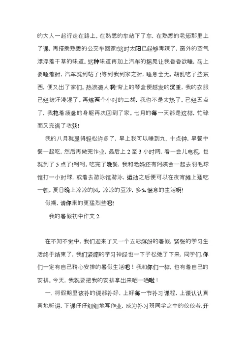 我的暑假初中作文