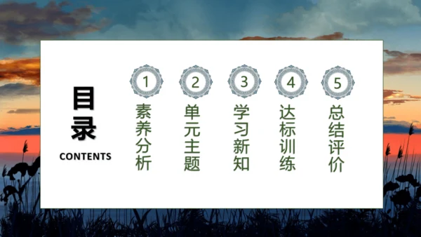 【核心素养】部编版语文四年级下册-16.海上日出 第1课时（课件）
