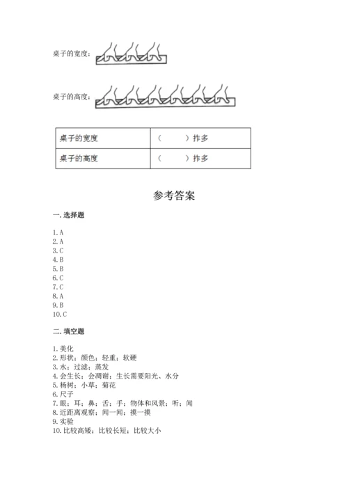 教科版一年级上册科学期末测试卷含完整答案【夺冠系列】.docx