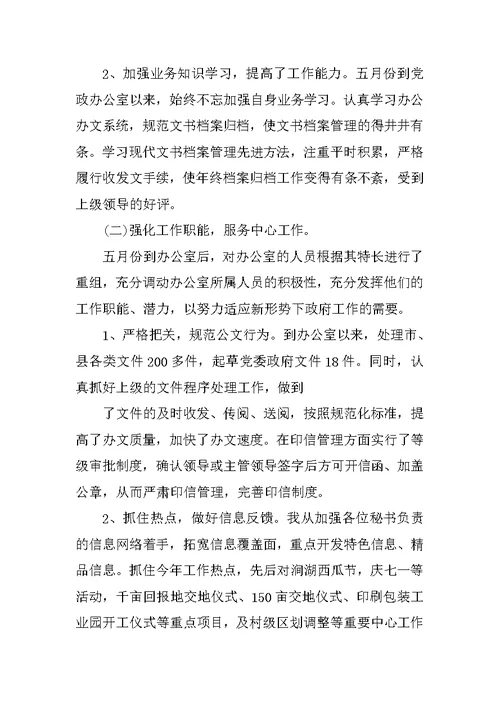 乡镇办公室主任个人总结