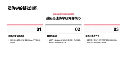 探索生物学基础PPT模板