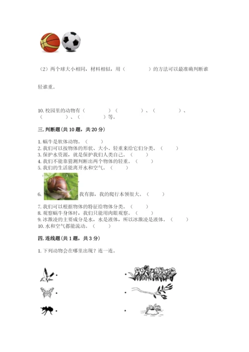 教科版一年级下册科学期末测试卷附答案（满分必刷）.docx