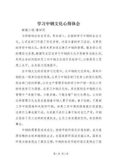 学习中钢文化心得体会.docx