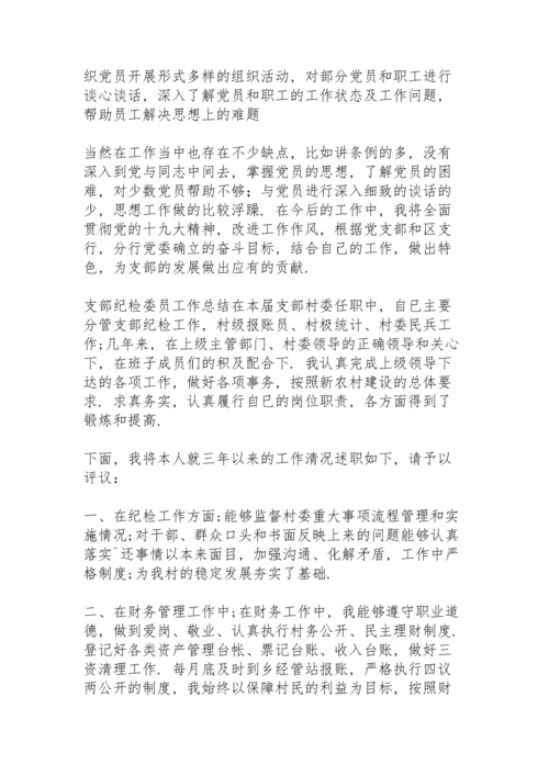 支部纪检委员工作总结.docx