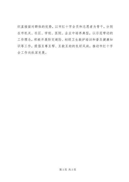 某市红十字会XX年工作计划.docx